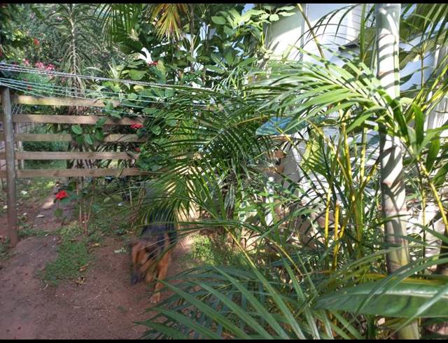 1 BEDROOM PROPERTY TO RENT IN MUSGRAVE